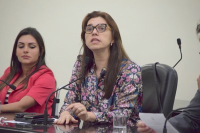 Deputada Jó Pereira.JPG
