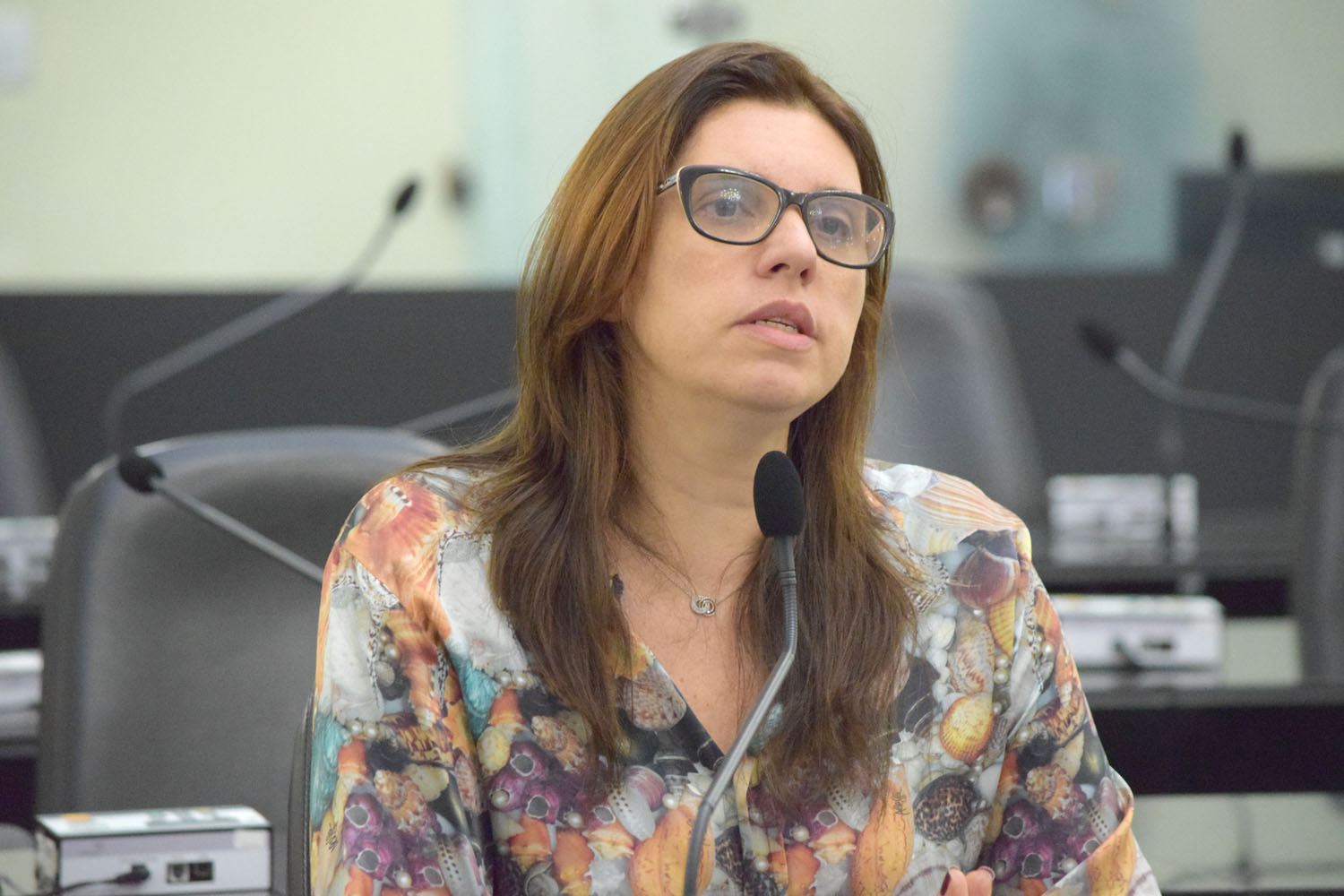 Deputada Jó Pereira.JPG