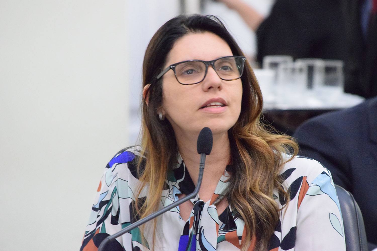Deputada Jó Pereira.JPG