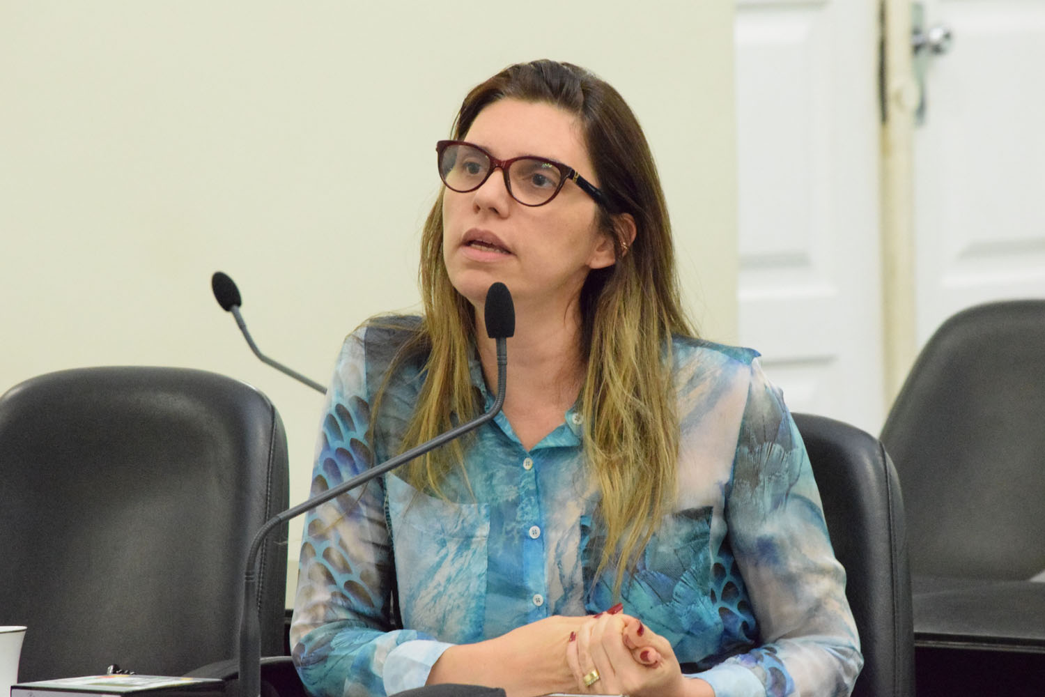 Deputada Jó Pereira.JPG