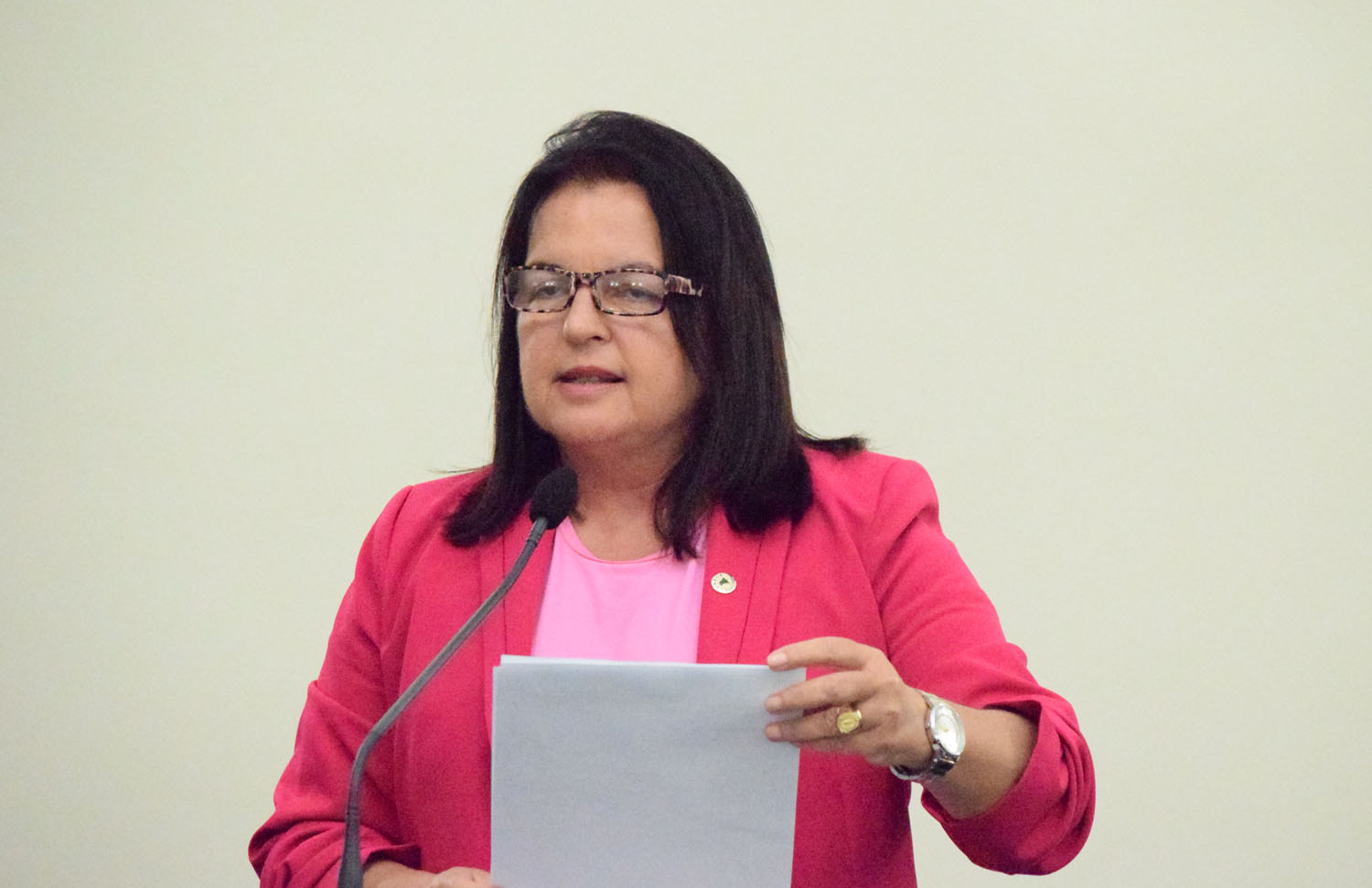 Deputada Fátima Canuto.JPG