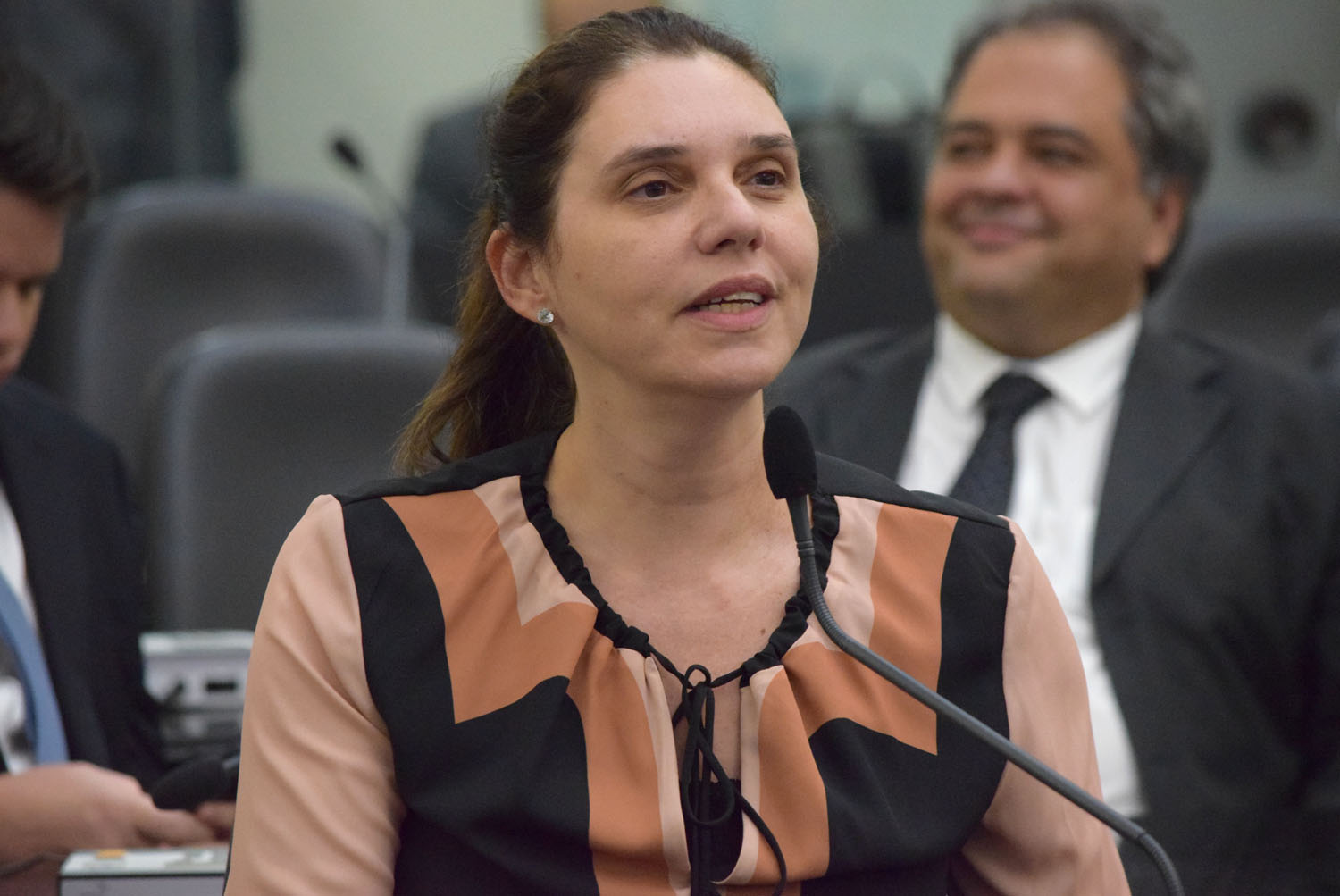 Deputada Jó Pereira.JPG