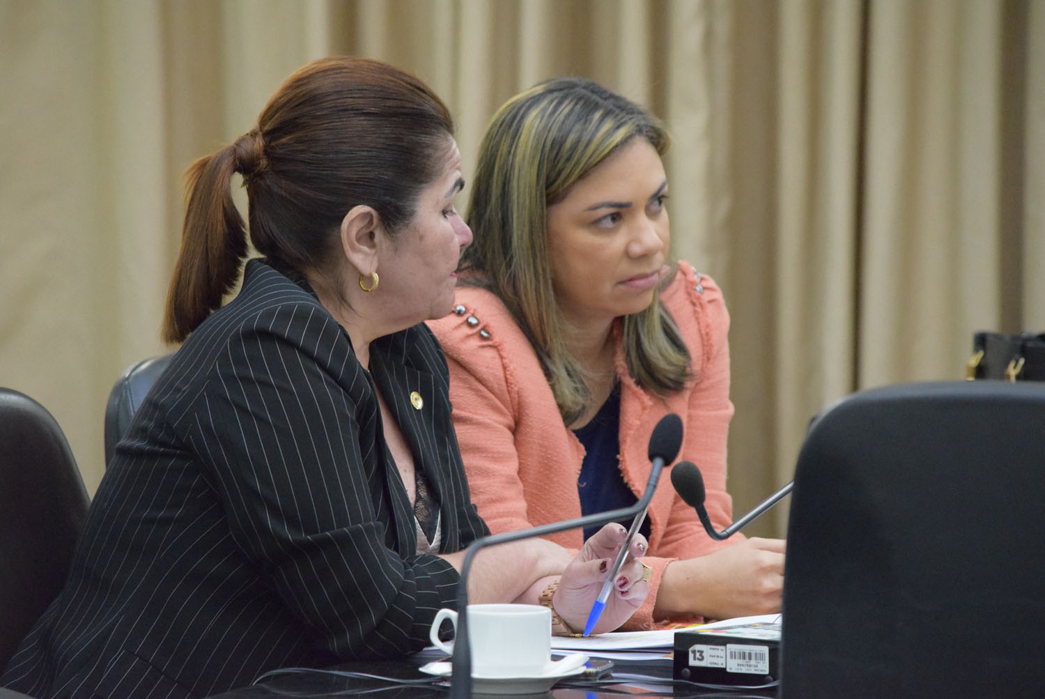 Deputadas Angela Garrote e Flavia Cavalcante.JPG