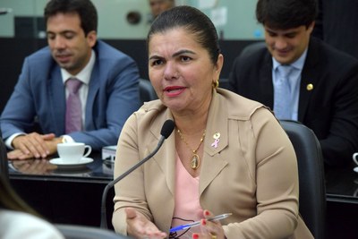 Deputada Angela Garrote.JPG