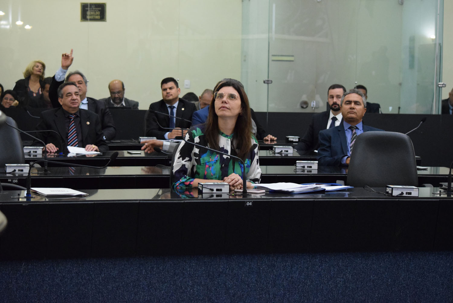 Sessão plenária.JPG