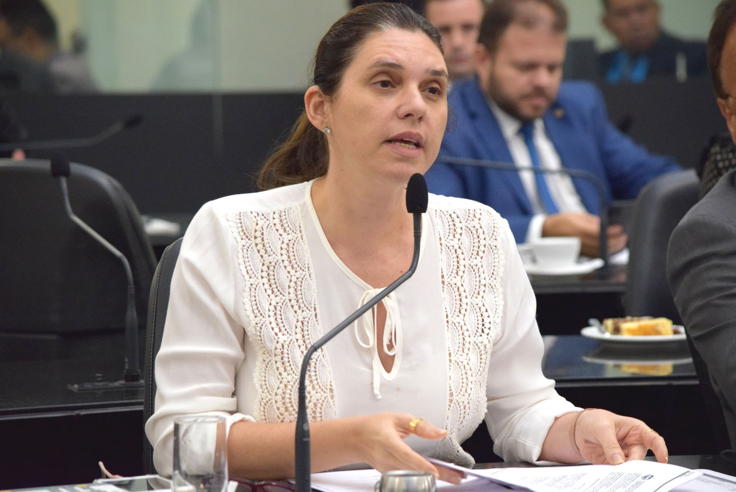 Deputada Jó Pereira.JPG