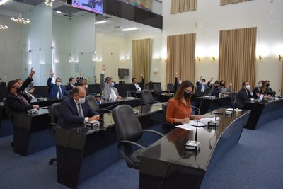 Plenário votando.JPG