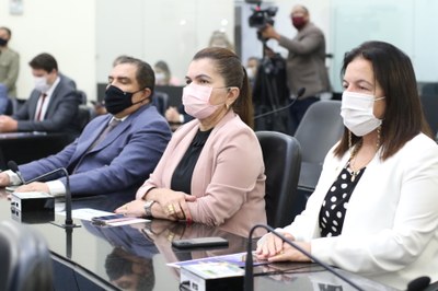 Deputados.JPG