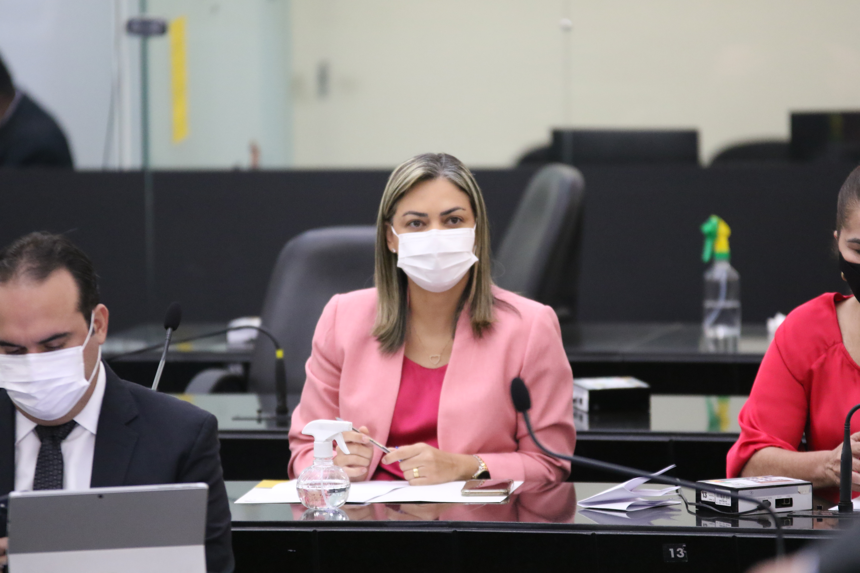 Deputada Flávia Cavalcante.JPG