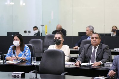 Deputados.jpeg