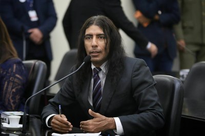 Lobão.jpeg