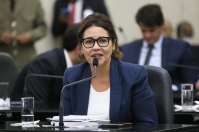 Deputada Rose Davino.jpeg