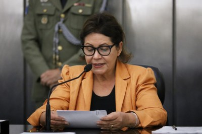 Rose Davino.jpeg