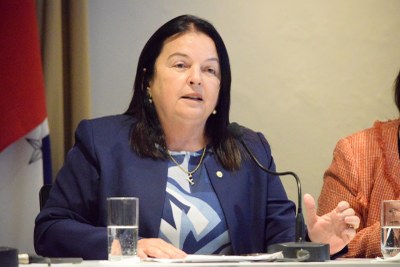 Audiência prevenção de enchentes (3).jpeg