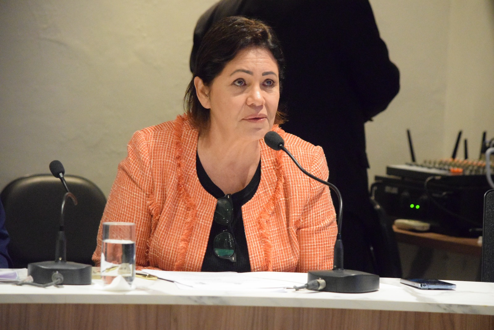 Audiência prevenção de enchentes (4).jpeg