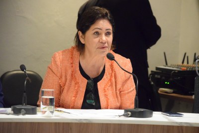 Audiência prevenção de enchentes (4).jpeg