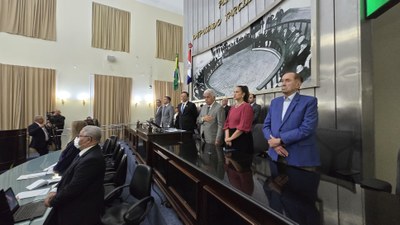 Sessão Solene - Comenda Hélvio Auto - Profissionais de Saúde Pandemia (1).jpeg