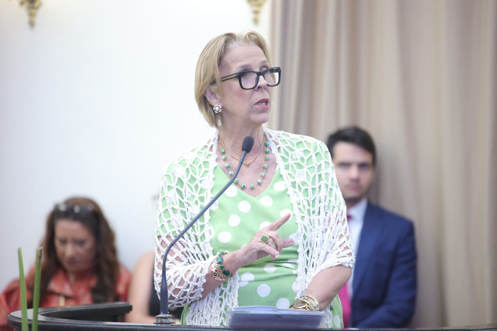 Sessão Solene - Comenda Paulo Bezerra Nunes (8).jpeg