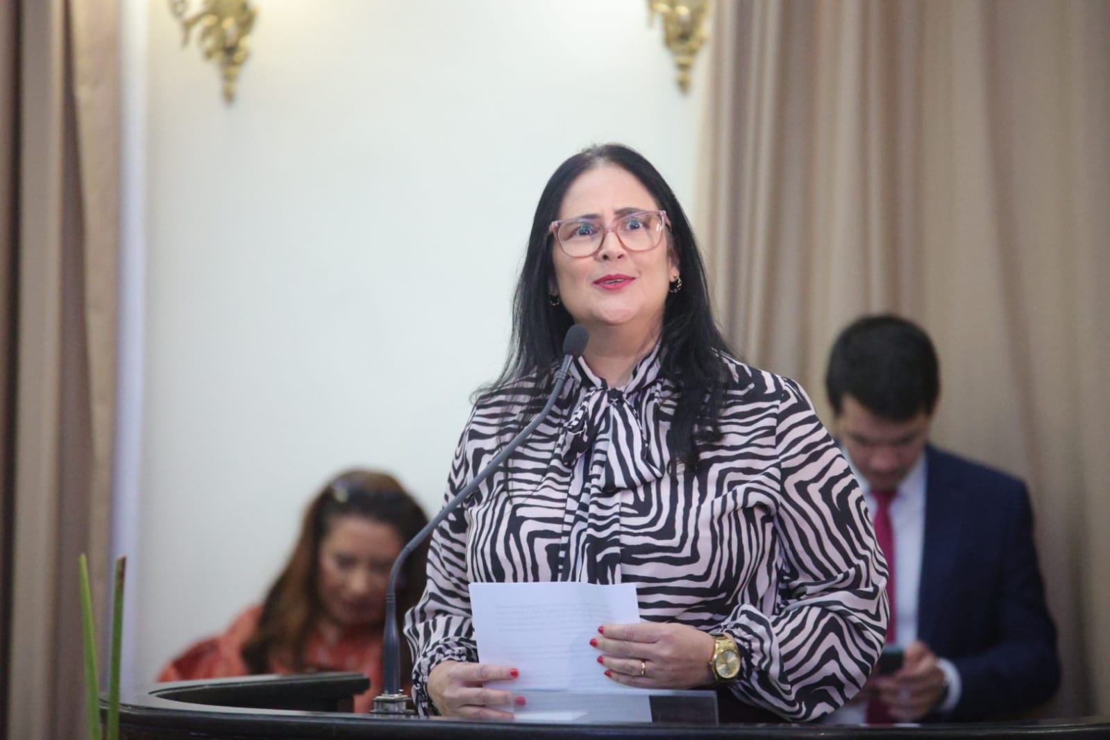 Sessão Solene - Comenda Paulo Bezerra Nunes (9).jpeg