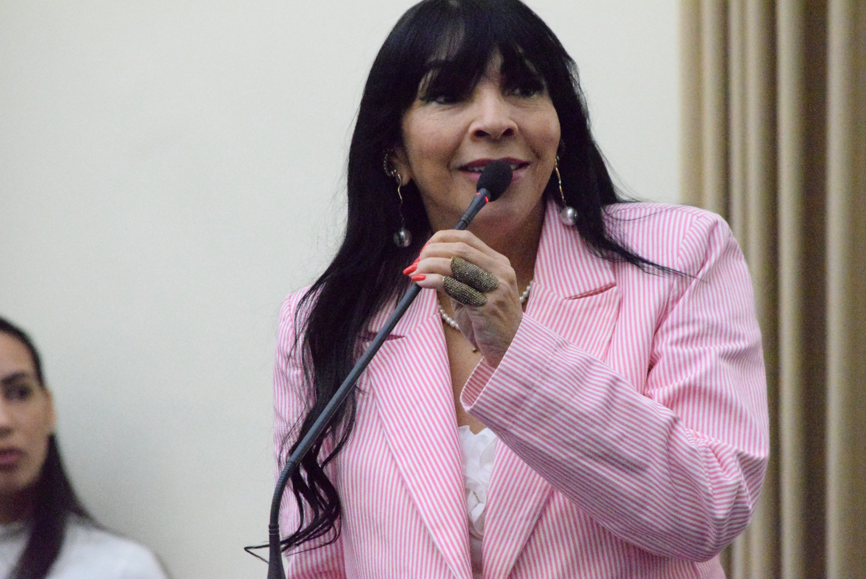 Sessão Especial - Observatório Alagoano de Igualdade de Gênero (19).JPG