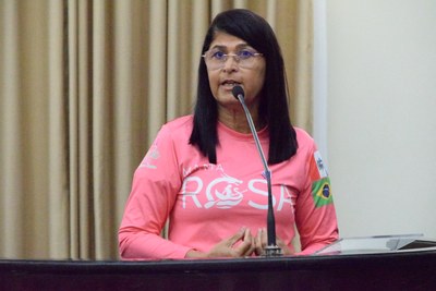 Sessão Especial - Observatório Alagoano de Igualdade de Gênero (22).JPG