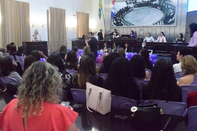 Sessão Especial - Observatório Alagoano de Igualdade de Gênero (4).JPG