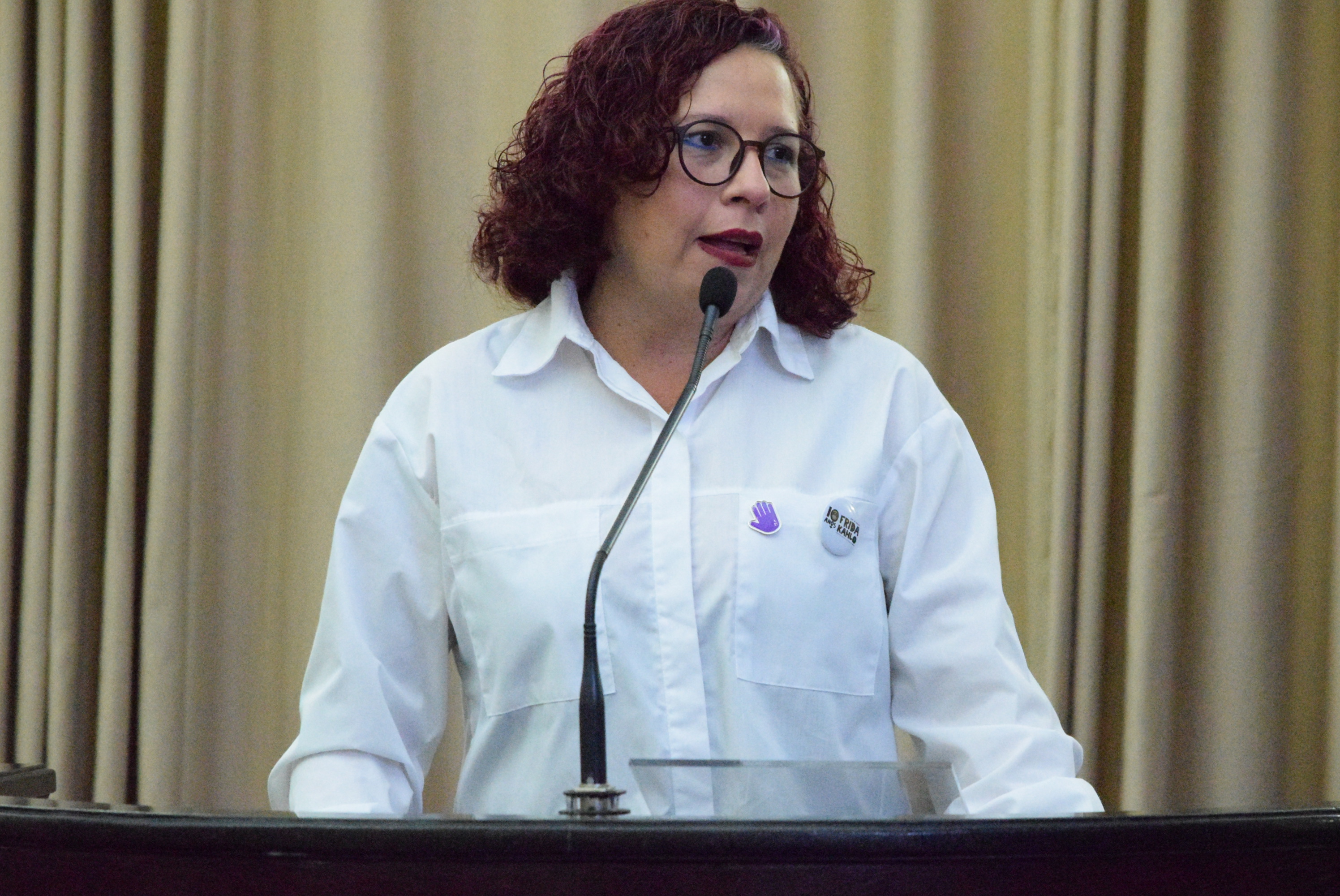 Sessão Especial - Observatório Alagoano de Igualdade de Gênero (8).JPG