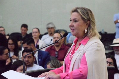 Sessão Especial - Dia de Combate ao Abuso Sexual da Criança e do Adolescente (7).JPG