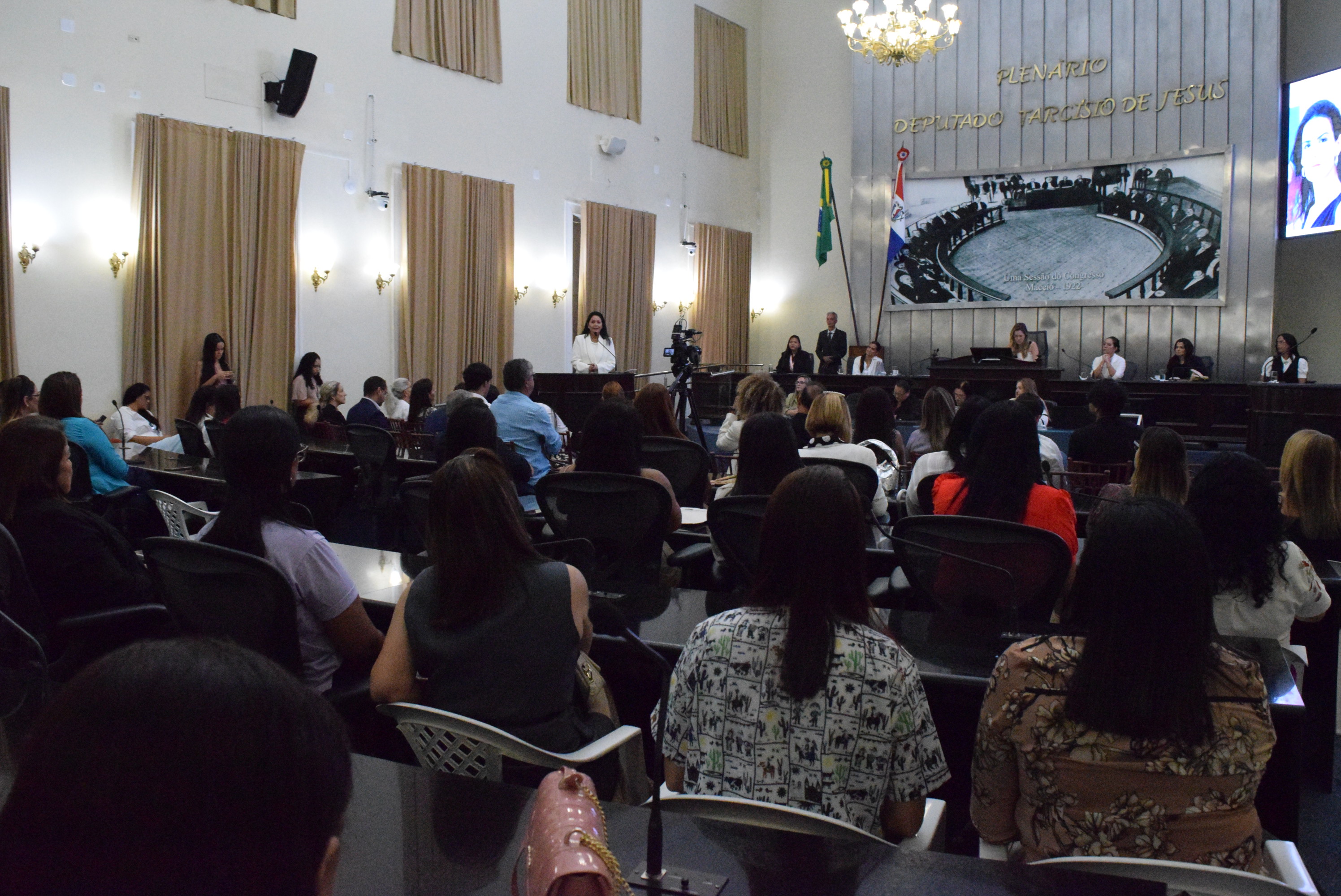 Sessão Solene - Comenda Vera Arruda - Arquimércia Cedrim e Marina Ferrari (17).JPG
