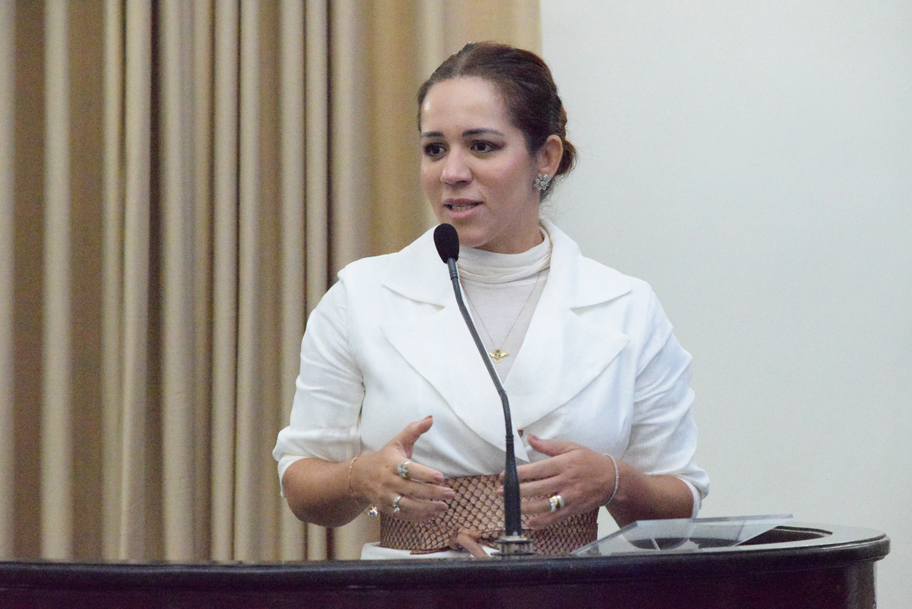 Sessão Solene - Comenda Vera Arruda - Arquimércia Cedrim e Marina Ferrari (20).JPG