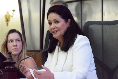Sessão Solene - Comenda Vera Arruda - Arquimércia Cedrim e Marina Ferrari (6).JPG
