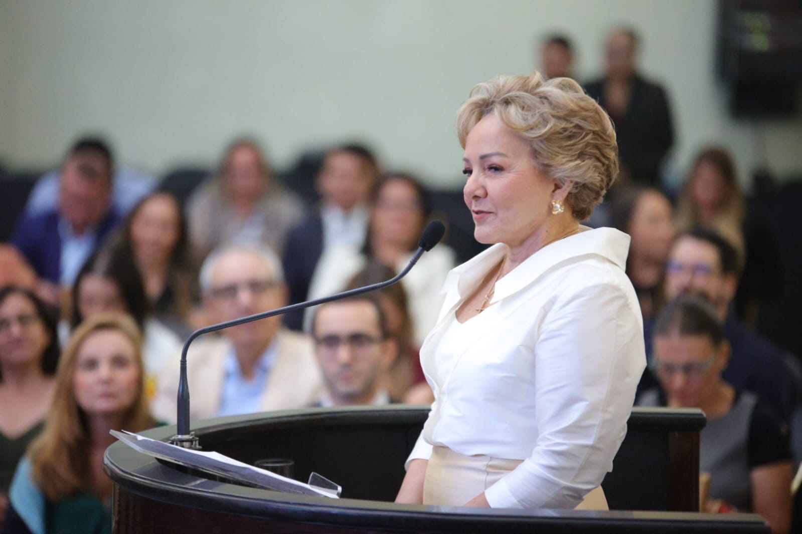 Sessão Solene -  Comenda LiLy Lages - Guerreiras Alagoanas - Bárbara Braga Eurides Accioly (8).jpeg