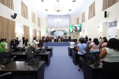 Audiência Pública_Enfrentamento à violência contra crianças e adolescentes (12).jpeg