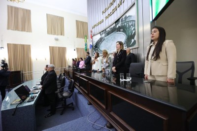 Audiência Pública_Enfrentamento à violência contra crianças e adolescentes (15).jpeg