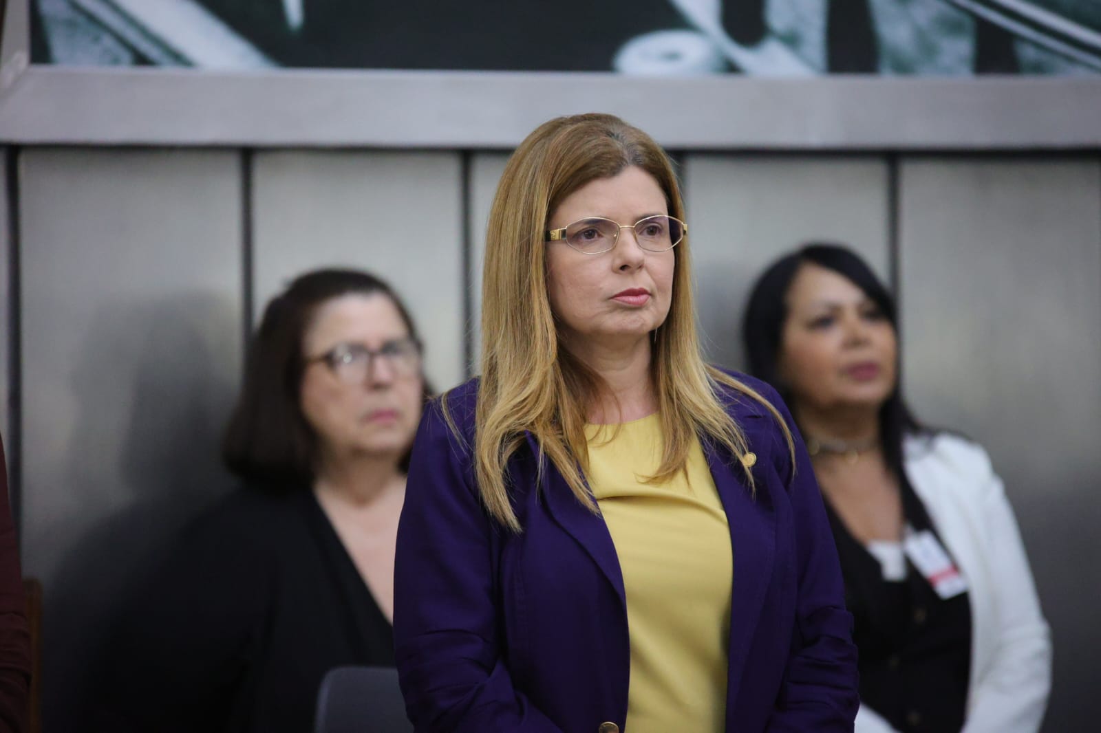 Audiência Pública_Enfrentamento à violência contra crianças e adolescentes (17).jpeg