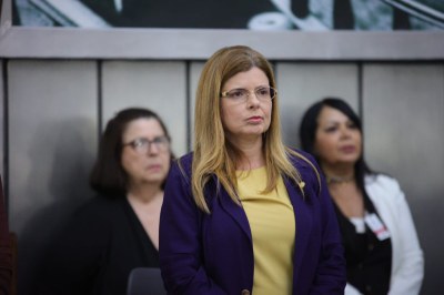 Audiência Pública_Enfrentamento à violência contra crianças e adolescentes (17).jpeg