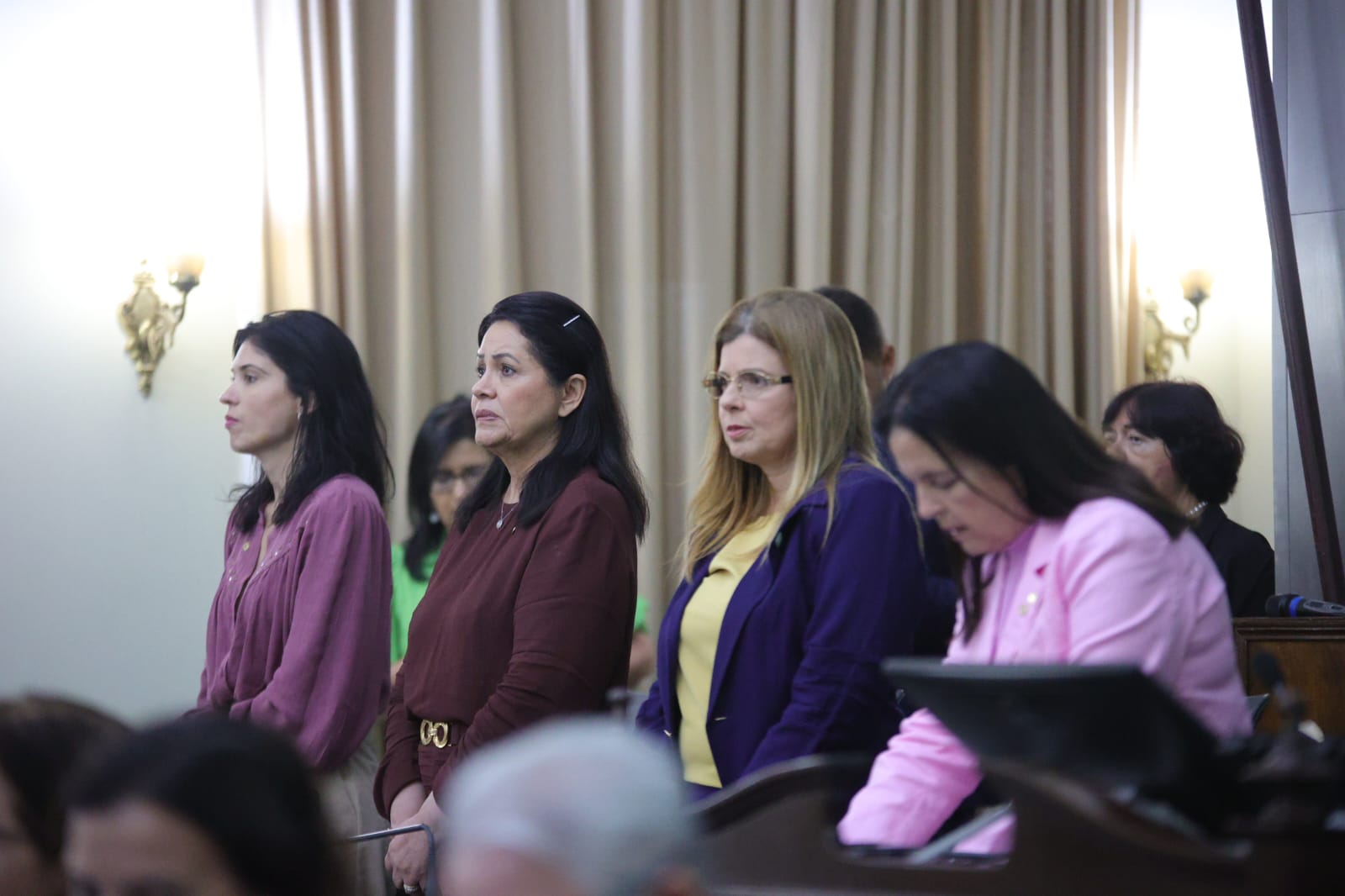 Audiência Pública_Enfrentamento à violência contra crianças e adolescentes (21).jpeg