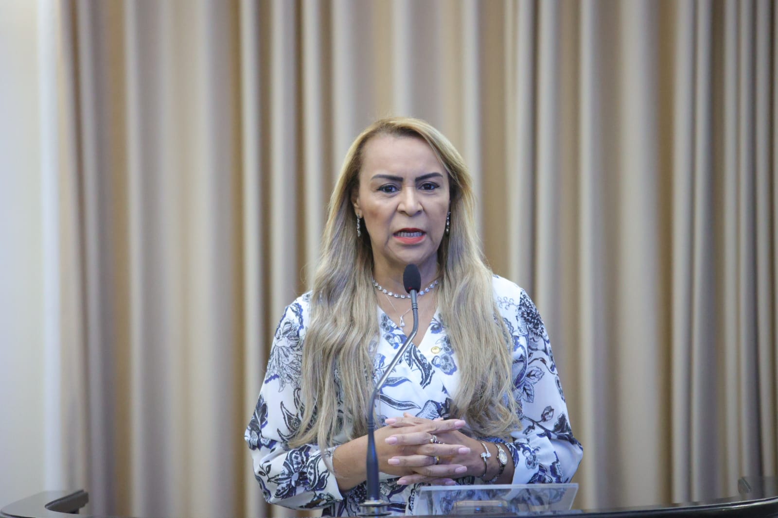 Audiência Pública_Enfrentamento à violência contra crianças e adolescentes (24).jpeg