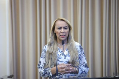 Audiência Pública_Enfrentamento à violência contra crianças e adolescentes (24).jpeg