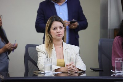 Audiência Pública_Enfrentamento à violência contra crianças e adolescentes (26).jpeg