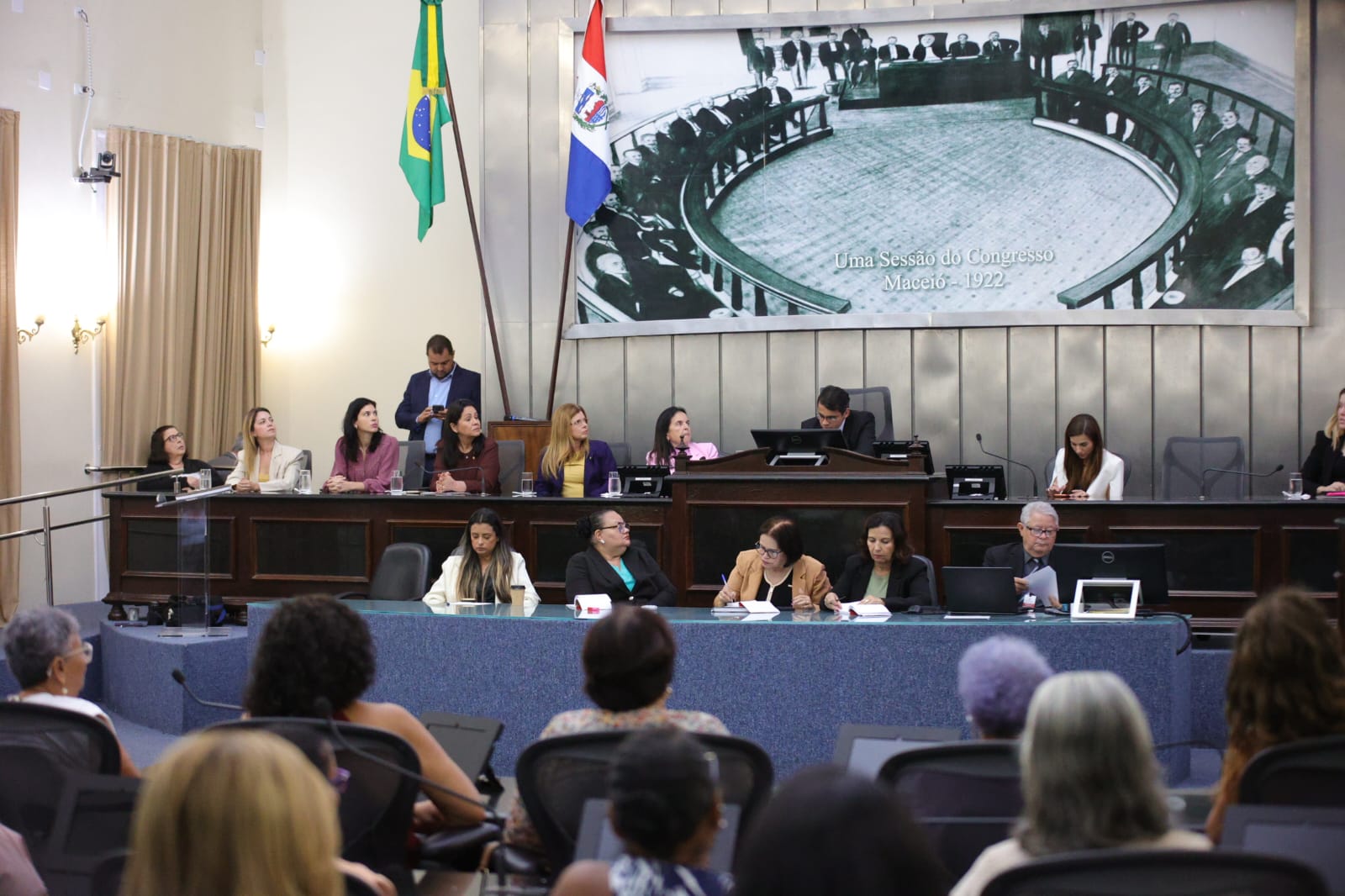 Audiência Pública_Enfrentamento à violência contra crianças e adolescentes (27).jpeg