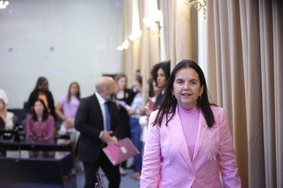 Audiência Pública_Enfrentamento à violência contra crianças e adolescentes (3).jpeg