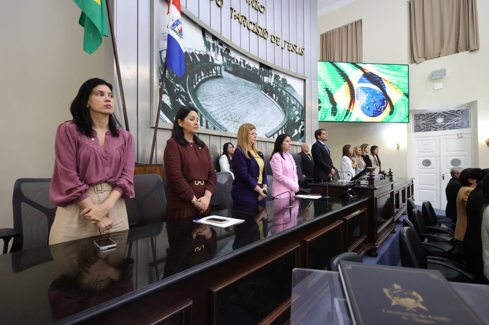 Audiência Pública_Enfrentamento à violência contra crianças e adolescentes (9).jpeg