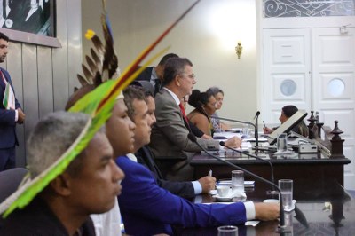 Sessão Especial - Plano Estadual dos Povos Indígenas (12).jpeg