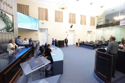 Comenda Tavares Bastos - Mara Sílvia Carvalho de Menezes (2).jpeg