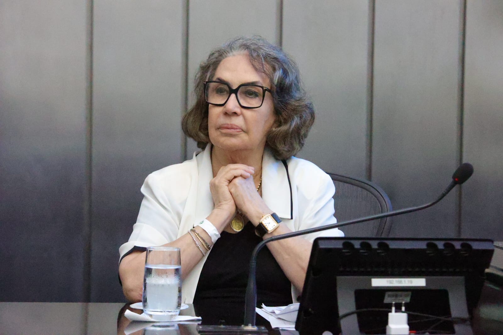 Comenda Tavares Bastos - Mara Sílvia Carvalho de Menezes (7).jpeg