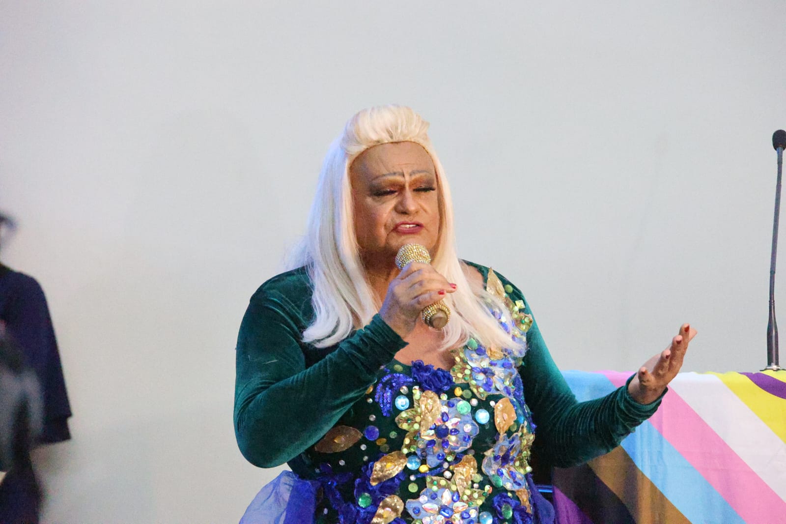 Plano Estadual de Políticas Públicas LGBTQIA+ (36).jpeg