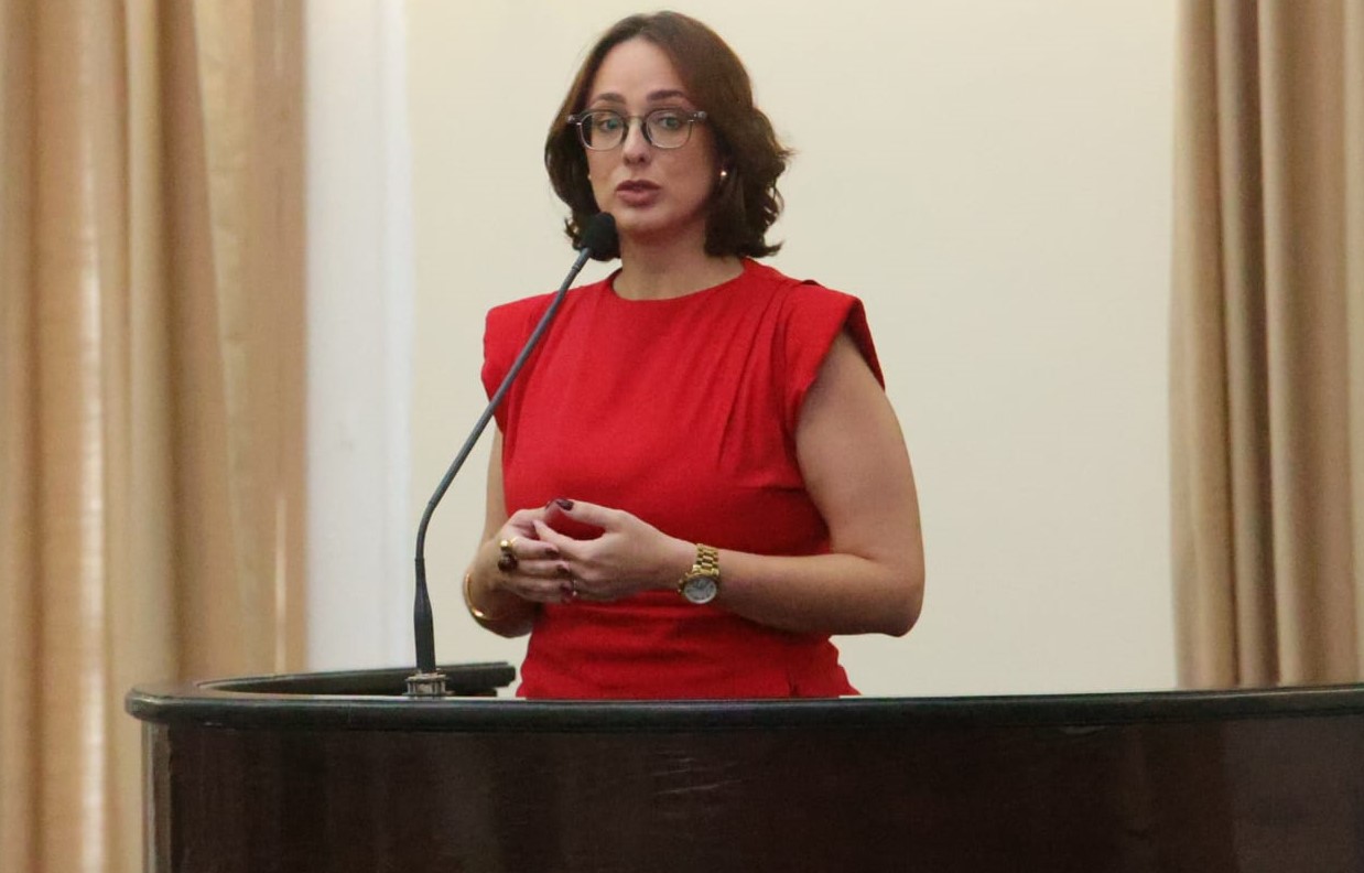 Sessão Especial - 10 anos do Marco Legal da Primeira Infância (11).jpeg