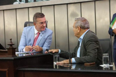 Sessão Especial - 10 anos do Marco Legal da Primeira Infância (13).jpeg