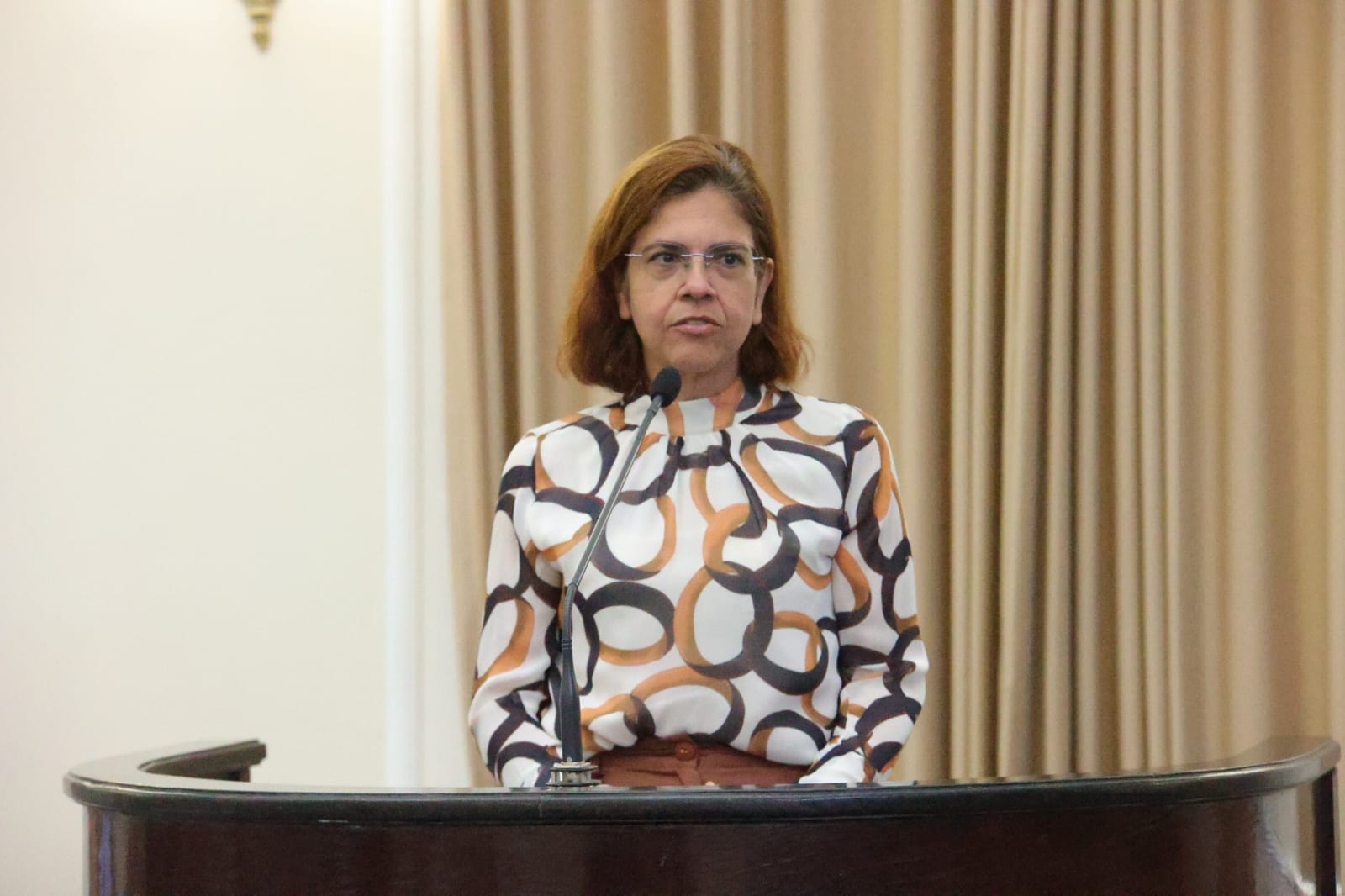 Sessão Especial - 10 anos do Marco Legal da Primeira Infância (18).jpeg